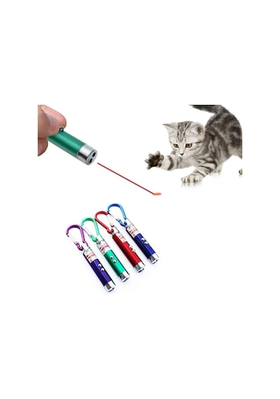 Li Kedi Oyuncağı