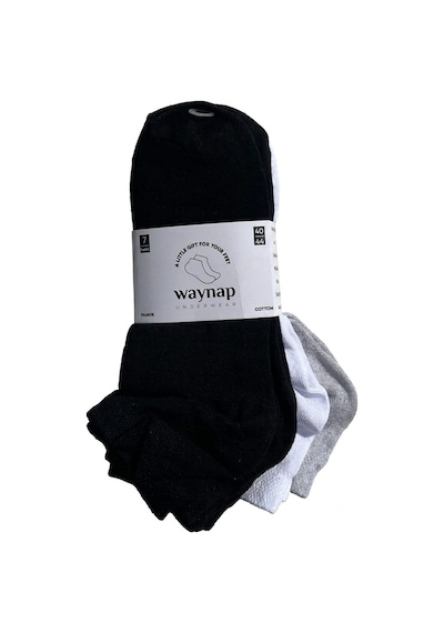 12'li Paket Waynap Erkek Patik Çorap Beyaz - Gri - Siyah