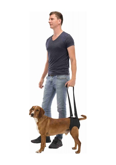 Trixie Köpek Yürüteci. Yardımcısı M:55-65cm. Siyah