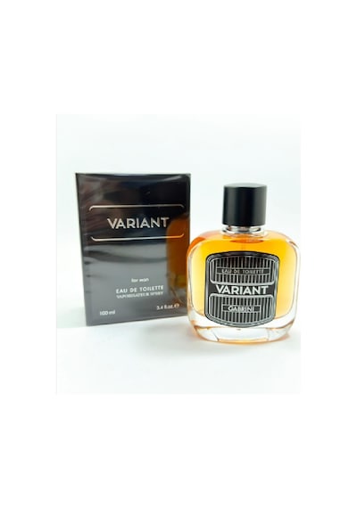 Gabrini Variant Erkek Parfüm Edt 100 Ml Aromatik - Odunsu