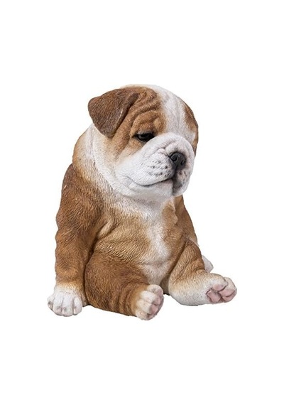 Oturan Uykulu Bulldog Yavru Köpek