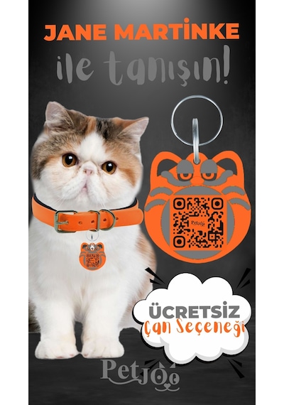 Petjoo 5.Jane Martinke Gri-Turuncu Qr'lı Kedi Künyesi