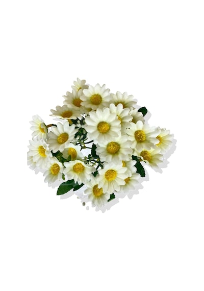 Cihan Çiçekçilik Papatya Demeti 5 Dal 30 Cm Beyaz- Yeşil