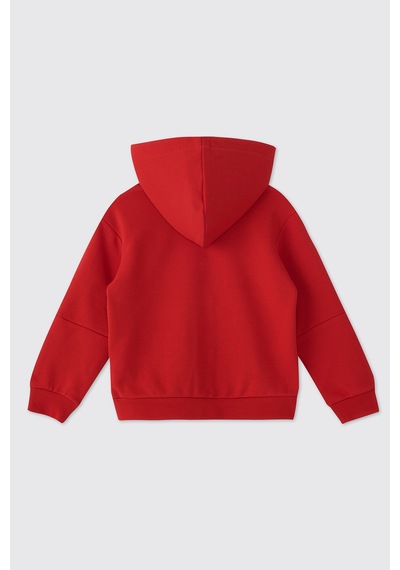 Panço Erkek Çocuk Fermuarlı Kırmızı Sweatshirt 2611bk08010