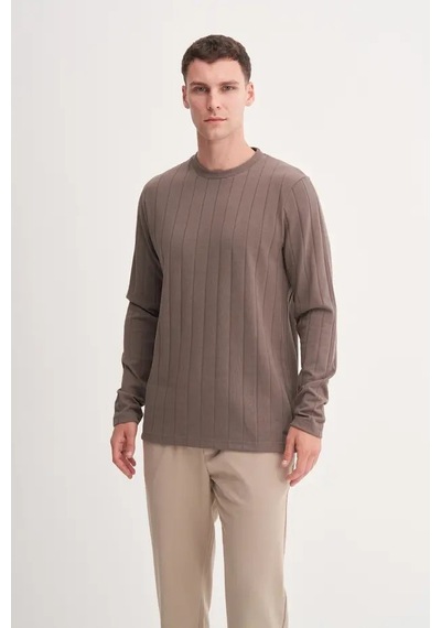 Cazador Premium Kalın Jakarlı Interlok Regular Fit Sweatshirt-53950 Vizon