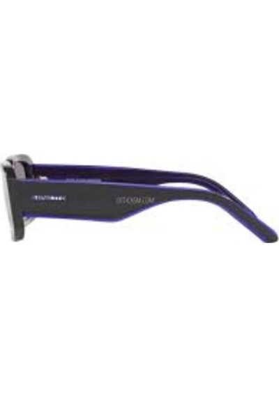 Arnette Güneş Gözlüğü An4318 53 12404q Mor