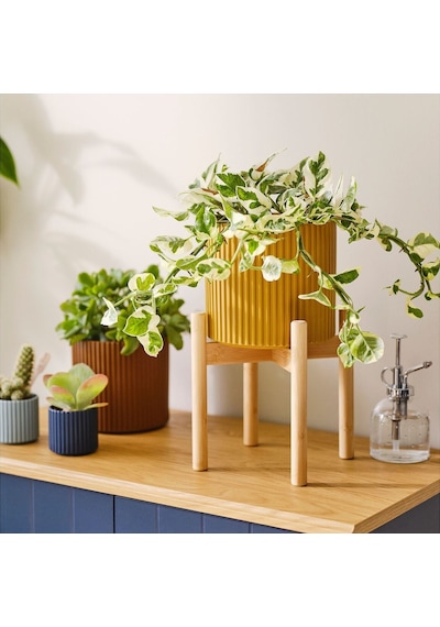 Çiçeklik, Bambu, 21 Cm 3 Adet
