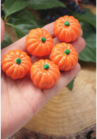 10 Lu Mini Balkabağı Dekor