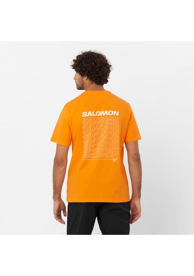 Salomon Lc2219700 Graphic Perf Ss Tee M Erkek Tişört 001 Salomon Lc2219700 Graphic Perf Ss Tee M Erkek Tişört 001