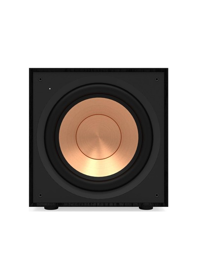 R-101sw Subwoofer - 10 İnç Yüksek Verimli Subwoofer Sürücü, Dahili Dijital Amfi, Düşük Frekanslarda Derin, Güçlü Ve Hassas Bas Sesleri, 300 Watt Güç Çıkışı, Siyah