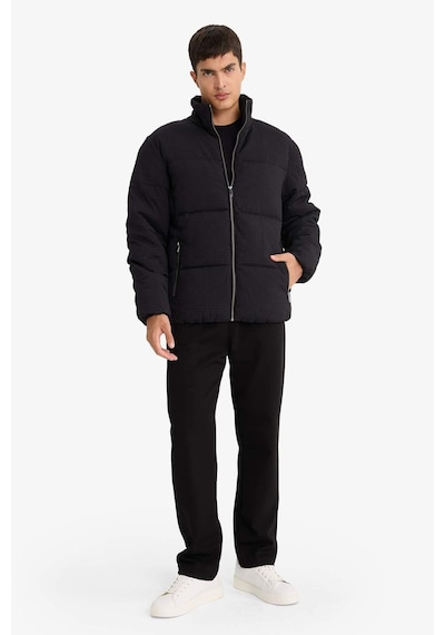 Defacto Regular Fit Dik Yaka Astarlı Fermuarlı Cepli Kışlık Mont F0418ax25wnbk27 Siyah-bk27