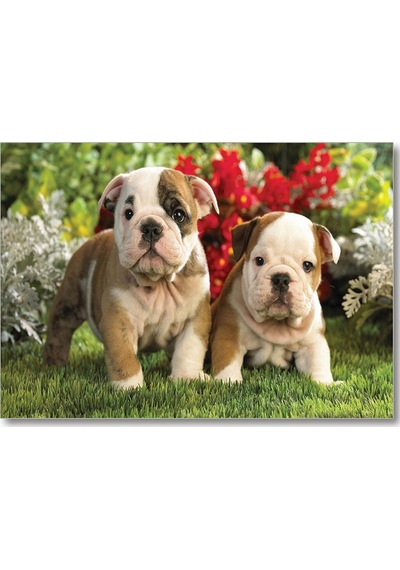 Cakasepetim Yavru Bulldogs Ahşap Mdf Tablo