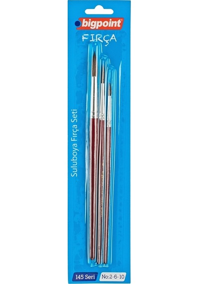 Bigpoint 145 Serisi Yuvarlak Fırça Seti 2-6-10 3'lü Blister X 6 Kutu