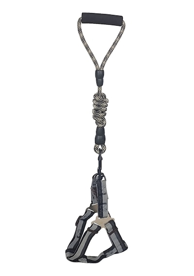 Köpek Göğüs Tasma Seti Dalga Desenli 1.5 Cm 35-48 Cm Siyah-beyaz Beyaz - Siyah