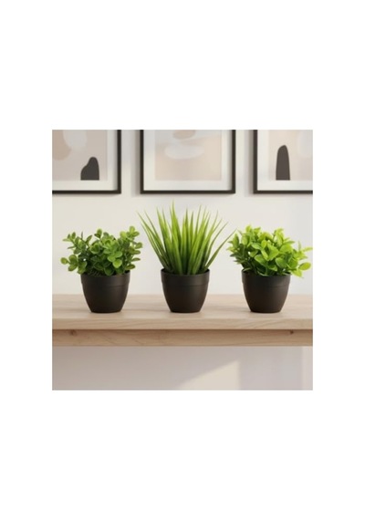 3'lü Mini Yapay Sukulent Seti, 8 Cm Saksı İle 41bordocipsobeyaz