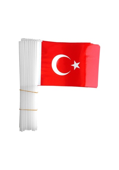 Sopalı Küçük Bayrak 80'li Diğer