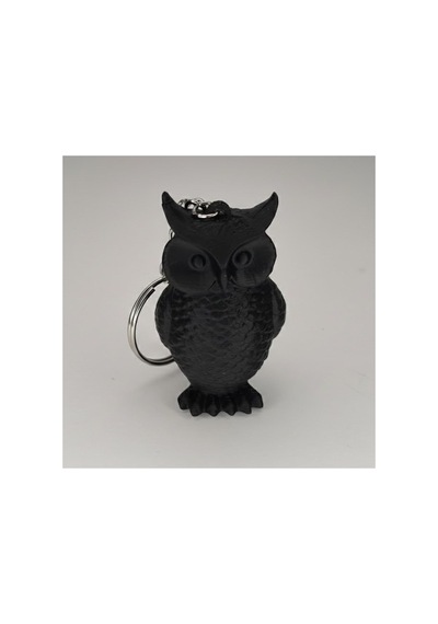 Siyah Owl Keychain
