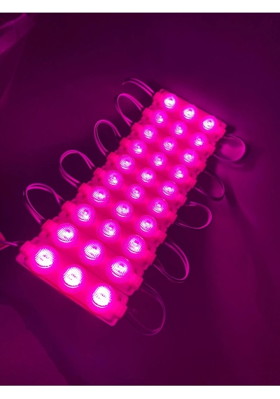 3 Ledli Modül Led Pembe 10 Adet