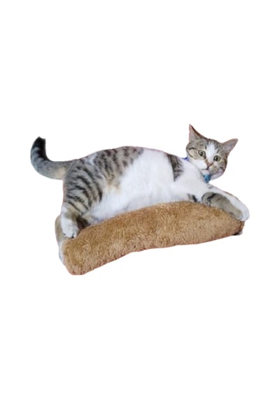 Tineke Kedi Otlu Sarılma Yastığı Uyku Oyuncağı 30 CM