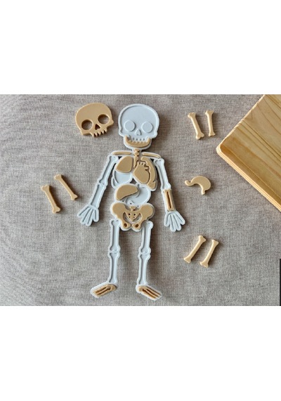 Montessori Eğitici İnsan Vücudu Yapbozu