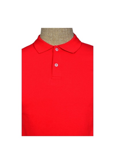 Cengiz İnler Polo Yaka Düz T-Shirt Slim (548482330)