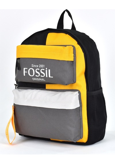 Fossil Unisex Çok Gözlü Günlük Seyahat Okul Sırt Çantası Gri 9512