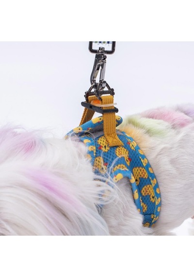 Pawstar Air-mesh Ducks Köpek Göğüs Tasması 2xs Genel