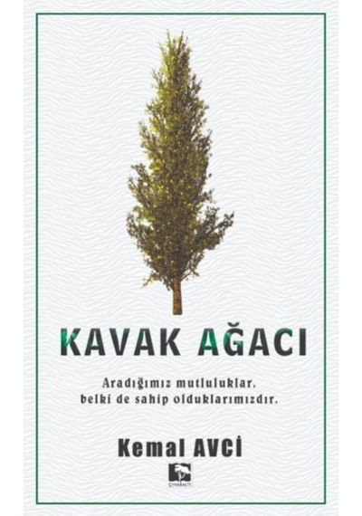 Kavak Ağacı (553394076)