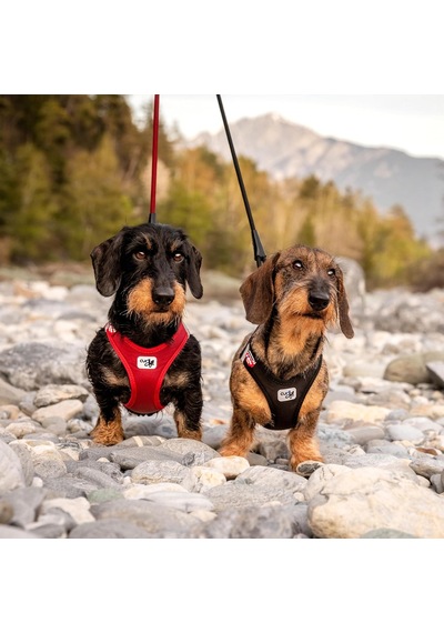 Vest Harness Curlı Clasp Softshell Red 2xs Genel