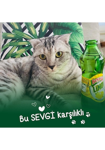 Beypazarı Doğal Maden Suyu Limon Aromalı 6 x 200 ML