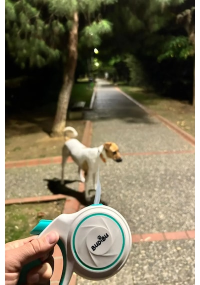 Budibu Makaralı Otomatik Geri Çekilebilen Kedi Köpek Gezdirme Tasması Medium Max 25 Kg Beyaz