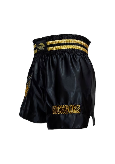 Parsspor Pars Kick Boks Şortu Nakışlı Siyah