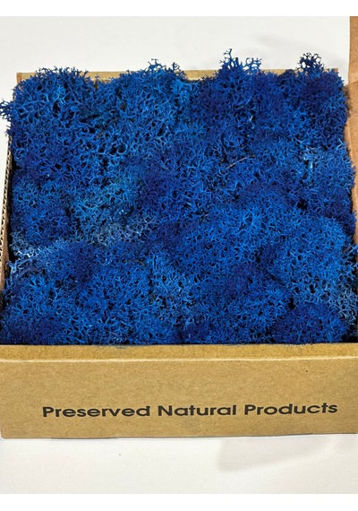 Reindermoss Şoklanmış Norveç Yosunu Terarium Yosunu Mavi 100 Gr.