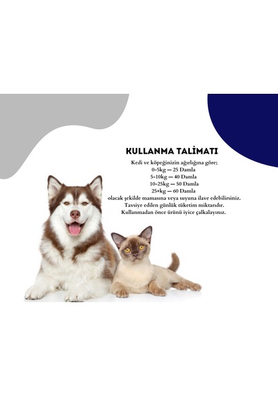 Pet Feed Biyozis Plus B 100 Ml Kedi Ve Köpeğiniz İçin Sindirim - Bağışıklık Sistemi Destekleyici %100 Doğal