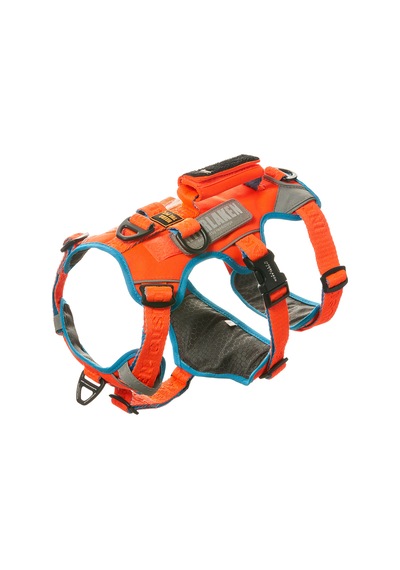 Interlaken Earthtech Slim 3.0 Köpek Göğüs Tasması Mavi - Turuncu L Mavi - Turuncu