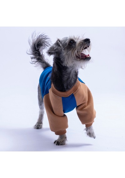 Saks Mavi Boston Pawstar Sweat Köpek Sweatshirt Köpek Sweat Köpek Kıyafeti Kedi Kıyafeti Saks Mavi Boston Pawstar Sweat Köpek Sweatshirt Köpek Sweat Köpek Kıyafeti Kedi Kıyafeti