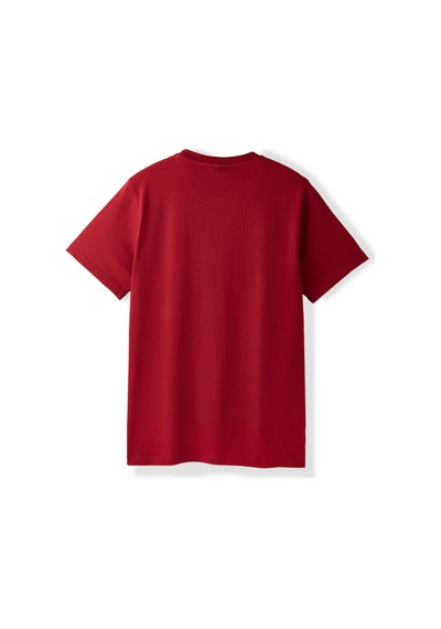 Gsstore Galatasaray Ucl Erkek T-shirt E252215 Bordo