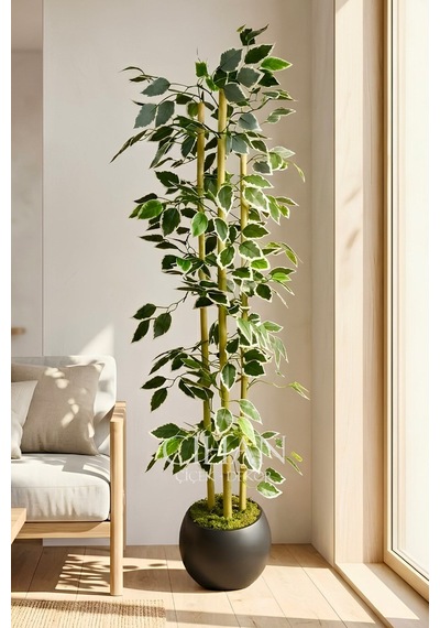 Yapay Alacalı Ficus Ağacı 3 Bambulu 110 Cm 27 33 Siyah Küre Saksılı Beyaz