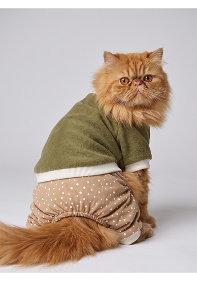 Latte & Matcha Kedi Rüyası Pamuklu Kedi Tulumu, Polar Sweatshirt Ve Mini Yastık 3 Parça