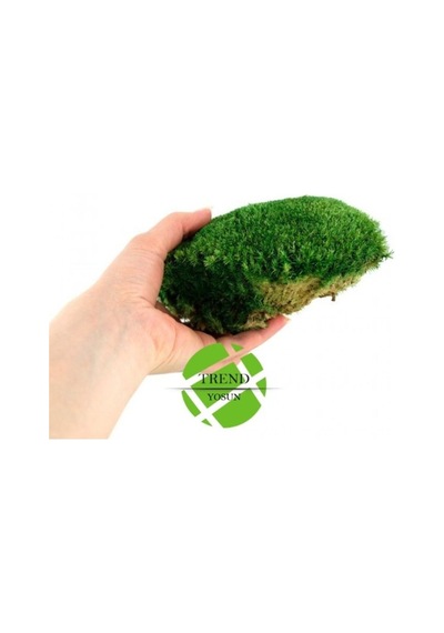 Top Yosun Şoklanmış Ort. 500 Gr. Ballmoss Yosun Koyu Yeşil
