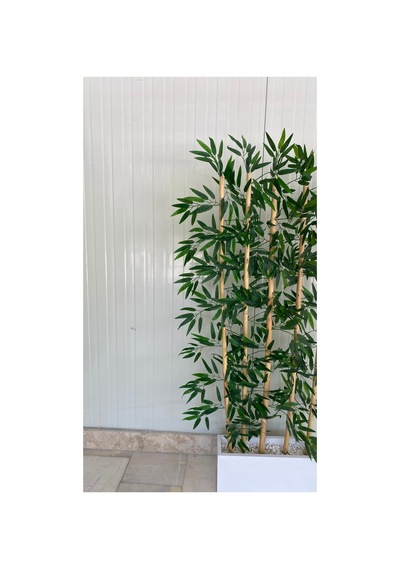 Bambu Seperatör 50 Cm Saksılı Yapay Bambu Premium 190 Cm 36-38 Yaprak 5 Dal Çok Renkli