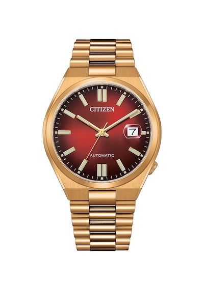 Cıtızen Tsuyosa Nj0153-82x Erkek Kol Saati Metalik