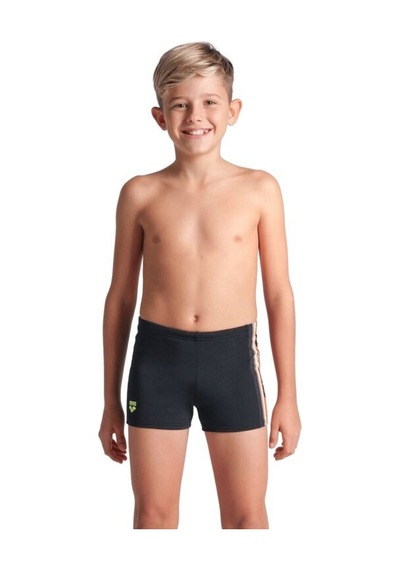 Boy's Arena Palette Swım Short Coçuk Yüzücü Mayosu Çok Renkli