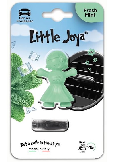 Little Joya Fresh Mint Kalorifere Geçme Oto Kokusu Taze Nane