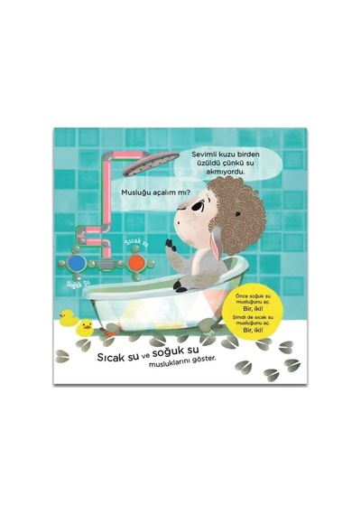 Sevimli Kuzu Kırpık İle Banyo Zamanı