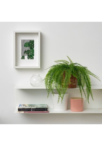 Ikea Fejka Yapay Bitki, Yeşil, 12 Cm, İç-dış Mekan Eğrelti Otu