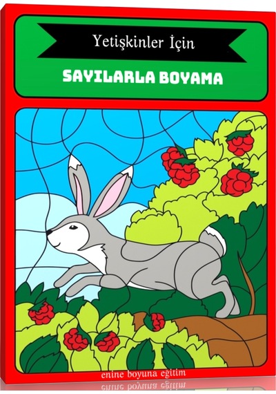 Yetişkinler İçin Sayılarla BOYAMA Kitabı