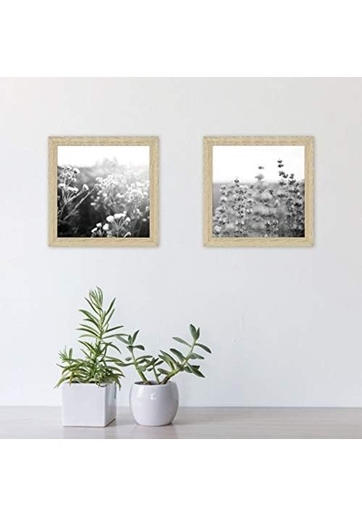 Mcs Galeri Temel Çerçeve, Doğal Ahşap Tahıl, 20,32 X 20,32 Cm, 2 Paket