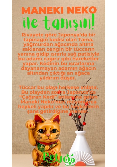 Petjoo 4.Maneki Neko Yeşil-Turuncu Qr'lı Kedi Künyesi