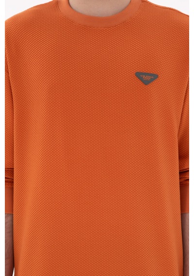 U.S. Polo Assn. Erkek Comfort Fit Bisiklet Yaka Tarçın Sweatshirt 50290777-VR191